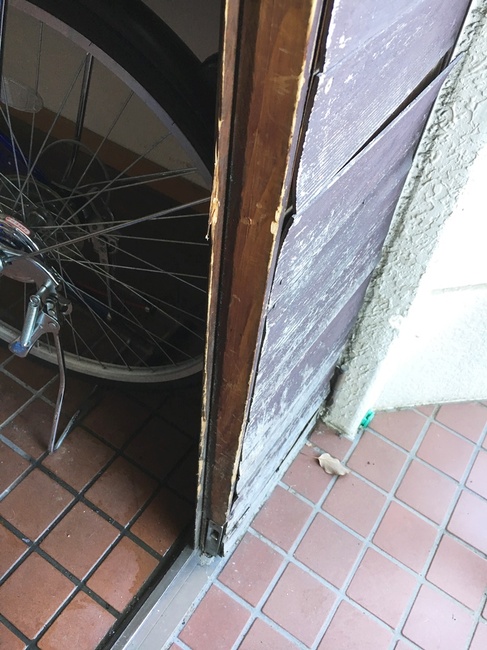 １ＤＡＹリフォーム　～玄関ドア編～